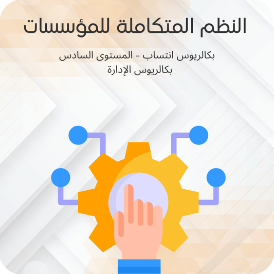 النظم المتكاملة للمؤسسات